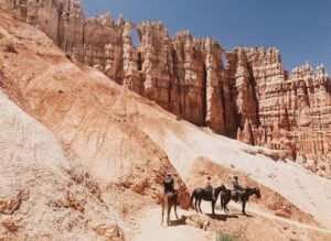 Leading team of horse riders in the mountains - superboss organisation and management