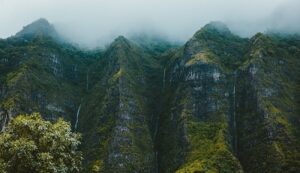 Mountains in fog - how to handle employees refusing to do the work