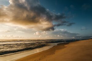 Beach landscape - collecting customer feedback