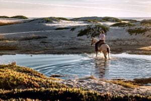 Woman on a horse - thinking about good customer service